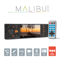 Dispozitive auto Multimedia